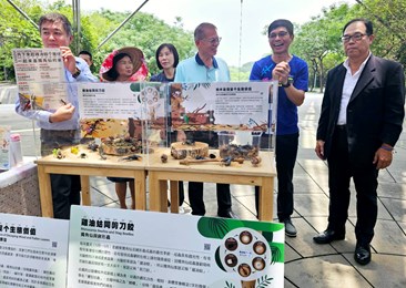 邀請民眾在博物館日當天共下來六堆園區起雞油蛄个屋仔