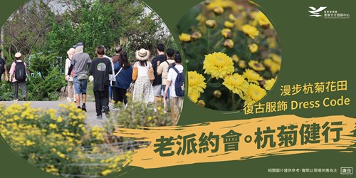 杭菊2
