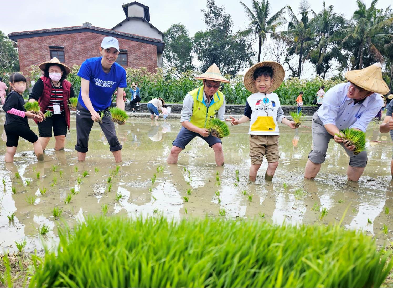 Rice Planting at the Liugdui Hakka Cultural Park Hands-on Experience Event