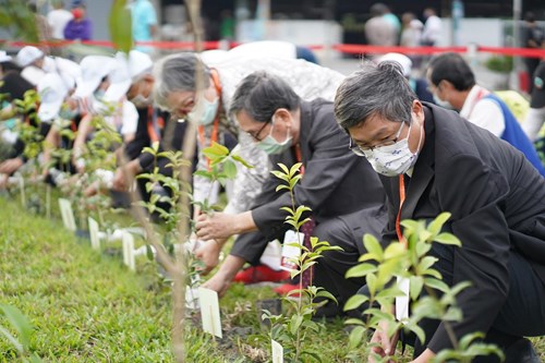 The Council also launched a tree-planting activity during the event,
