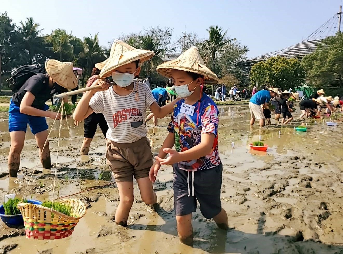 小朋友挑著秧苗進入田間，分送秧苗給蒔禾的朋友
