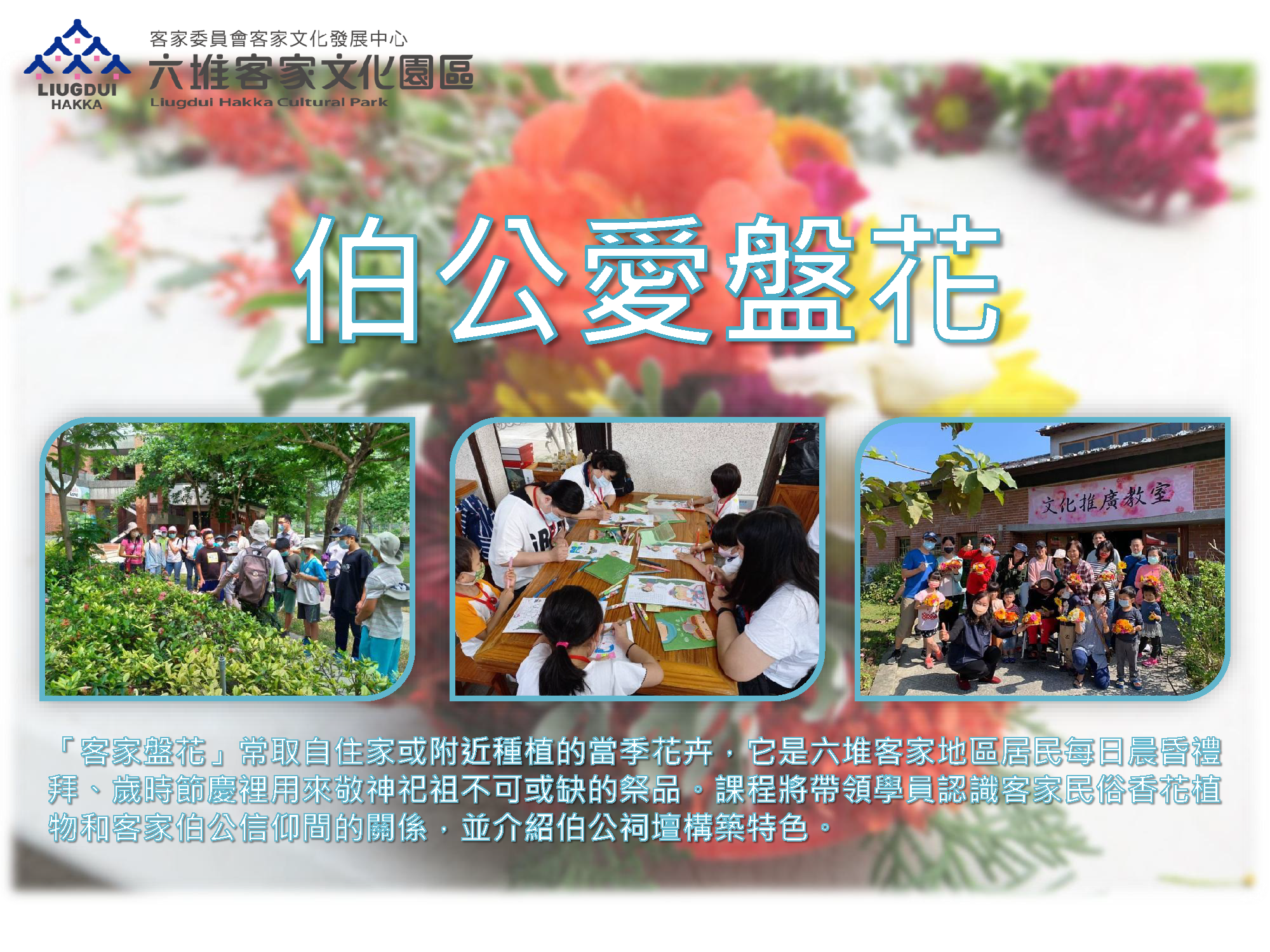 伯公愛盤花
