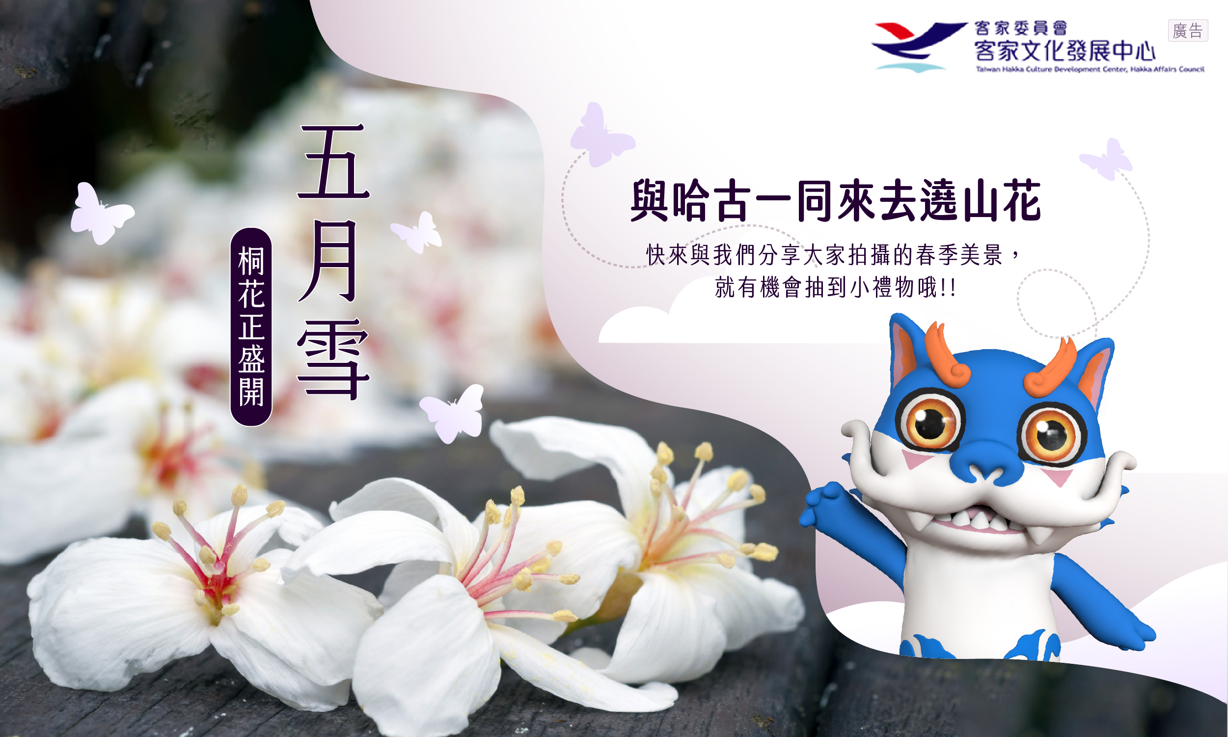 五月雪桐花正盛開活動Banner