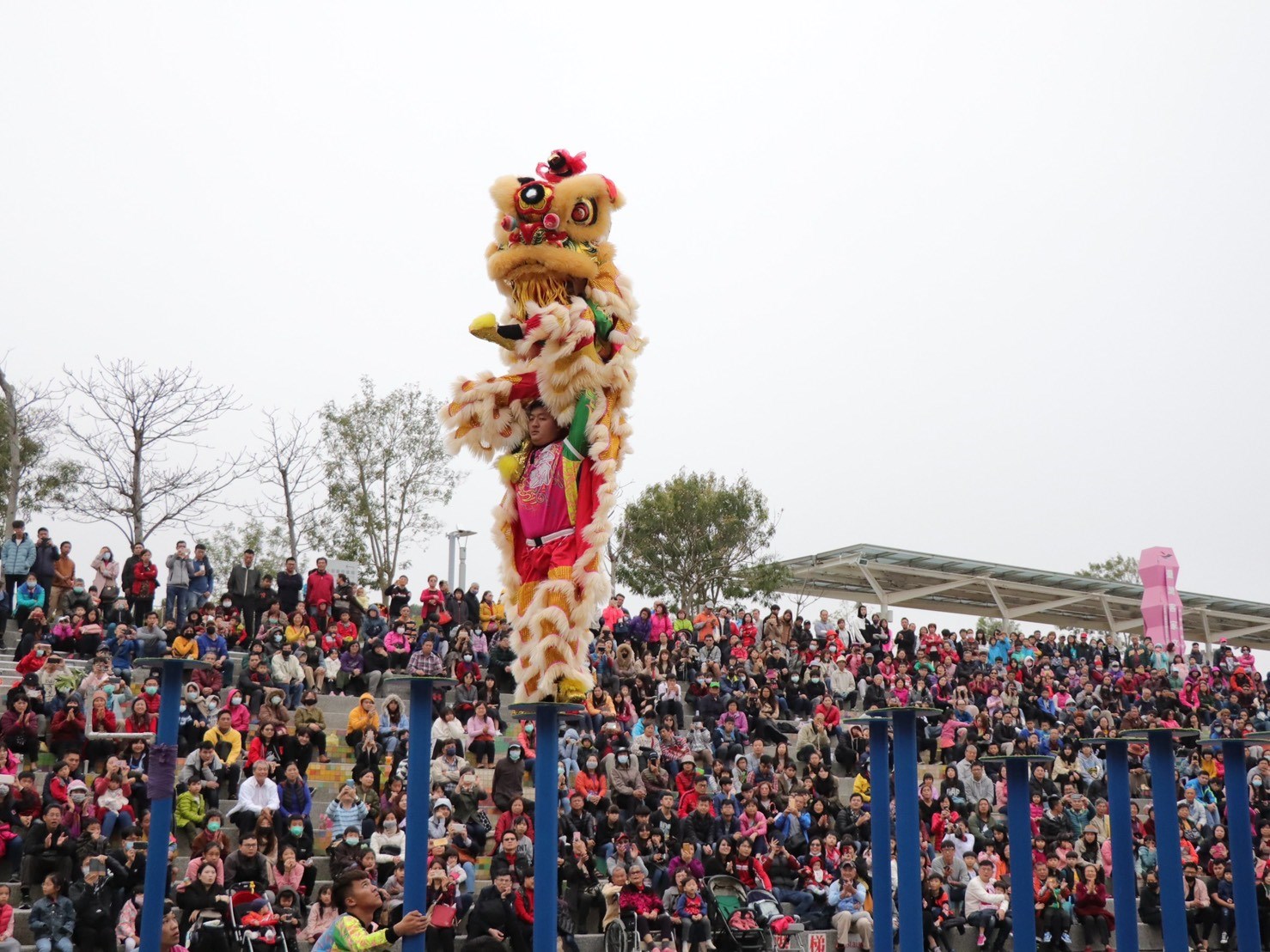 A lion dance performance