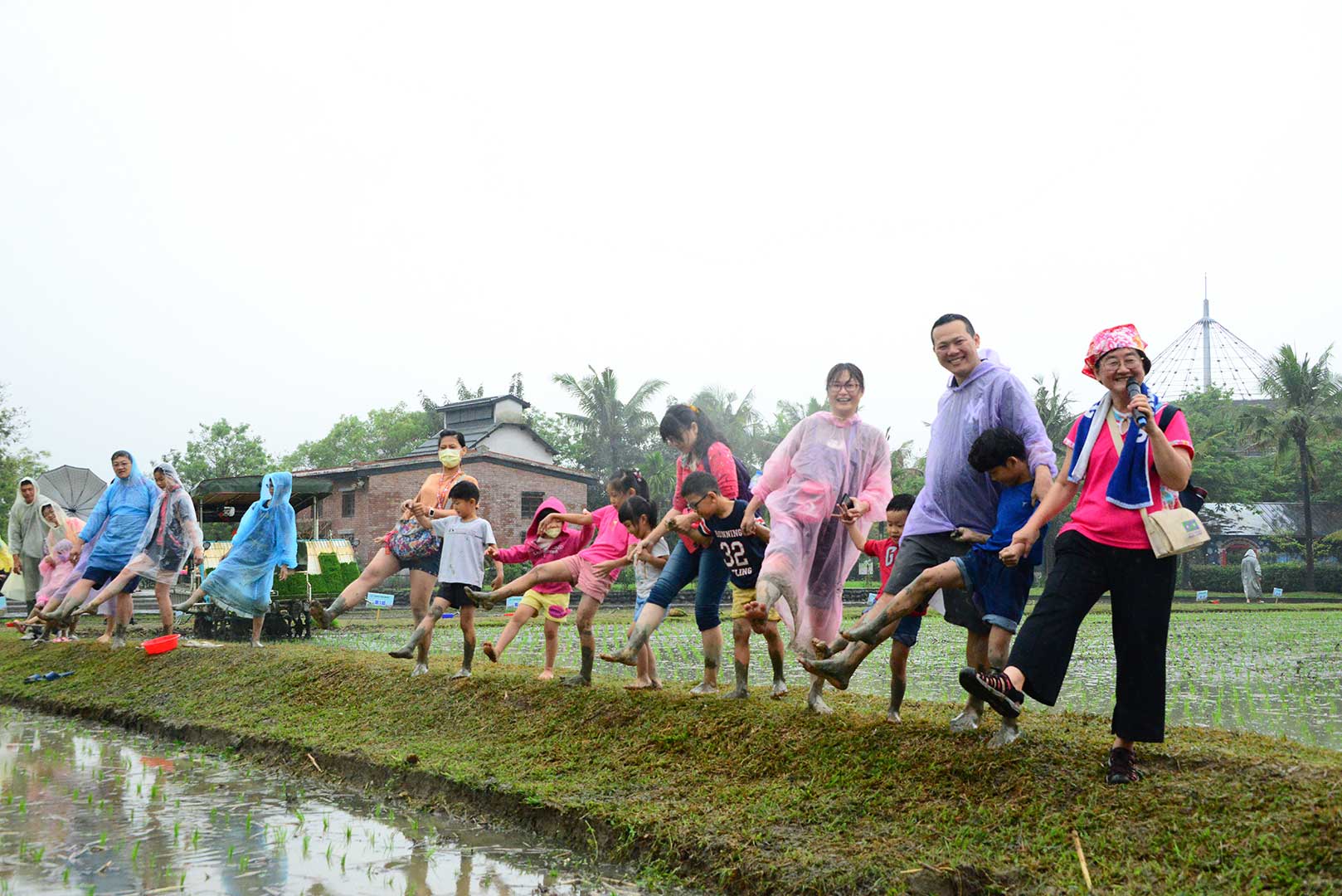 Industrial and environmental education promotion of Liudui Hakka Cultural Park – Raining Day to Plant a Rice Seedling 展示圖
