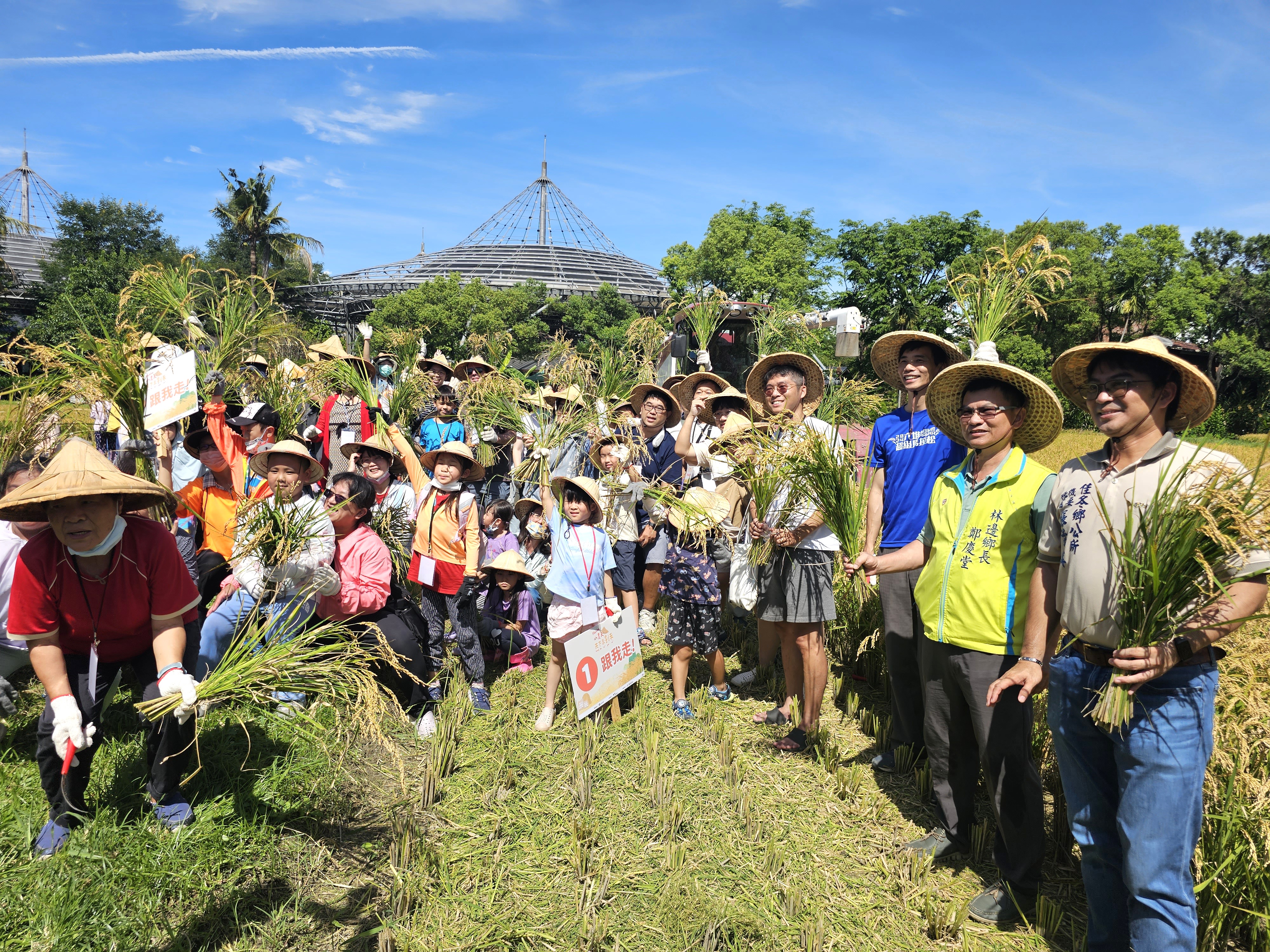 【2025六堆園區農事學堂活動】六堆黃金稻穗 糯米大豐收 展示圖