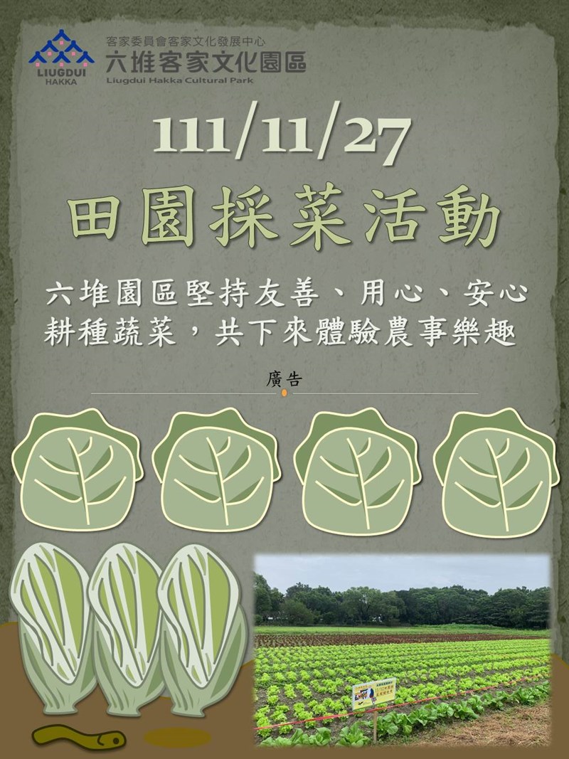 111年11月27日六堆園區田園採菜體驗活動