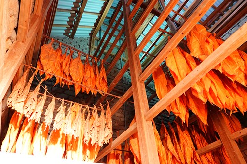 tobacco house of liu inc 4th special exhibition room (The baking smell for a hundred years – tobacco  house)-Liugdui Hakka Cultural Park