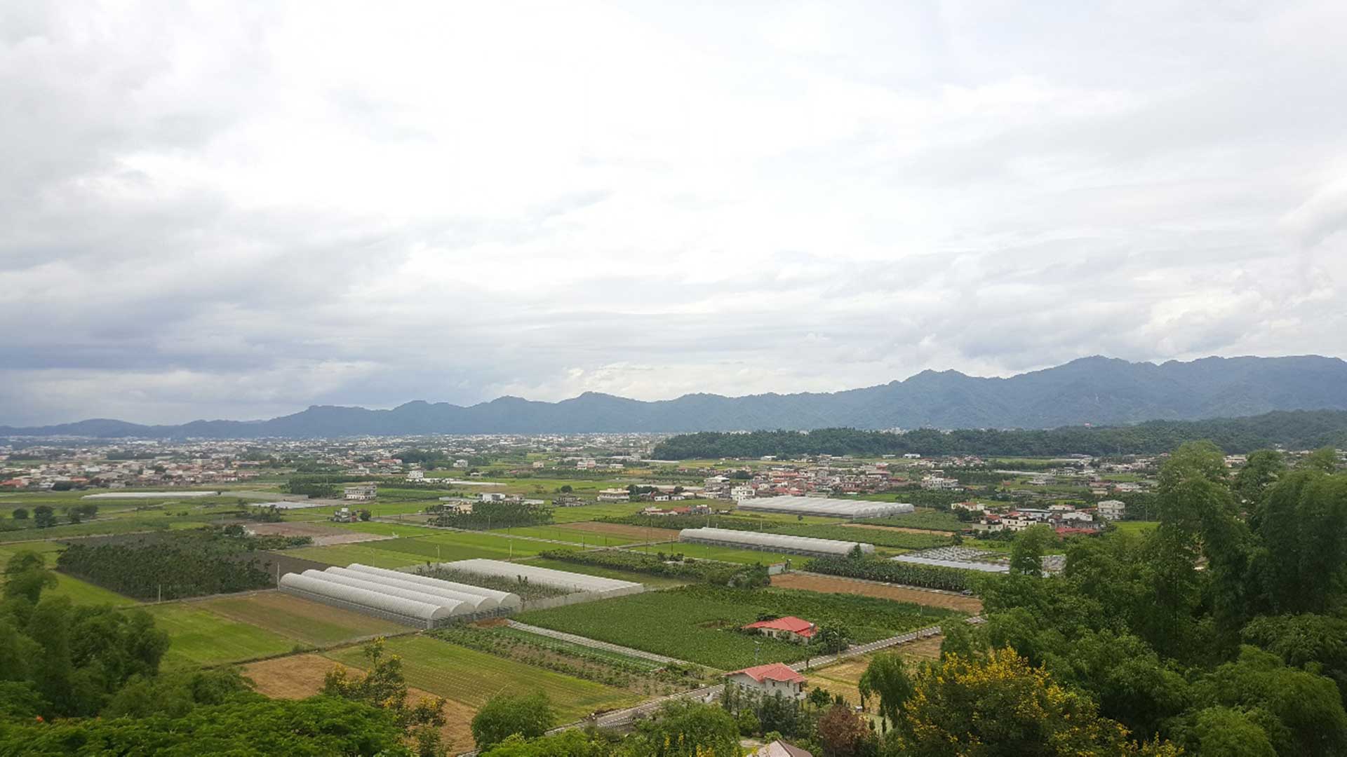 Meinong Plain