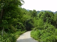 背景大圖 背景大圖