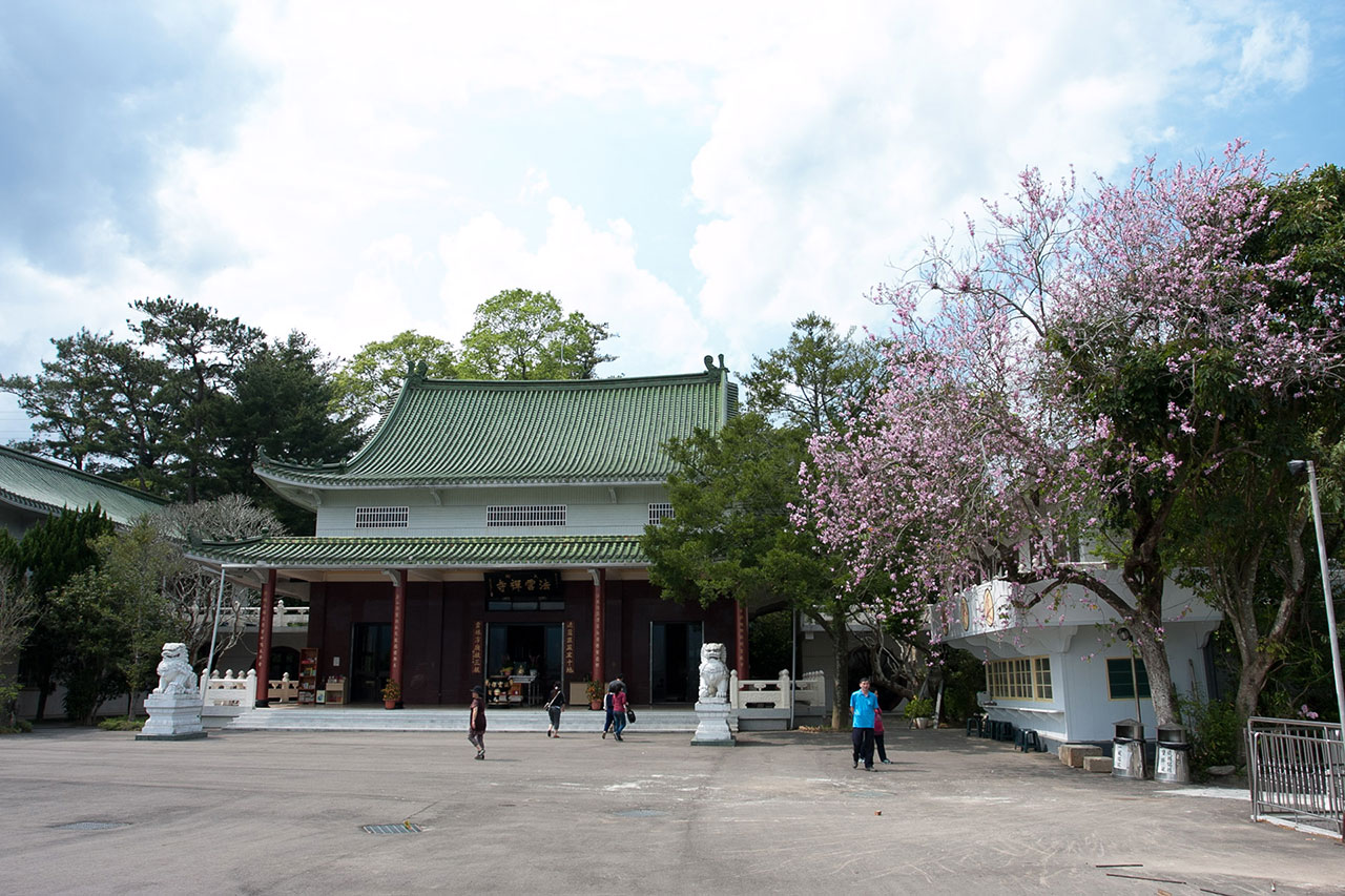 背景大圖 背景大圖