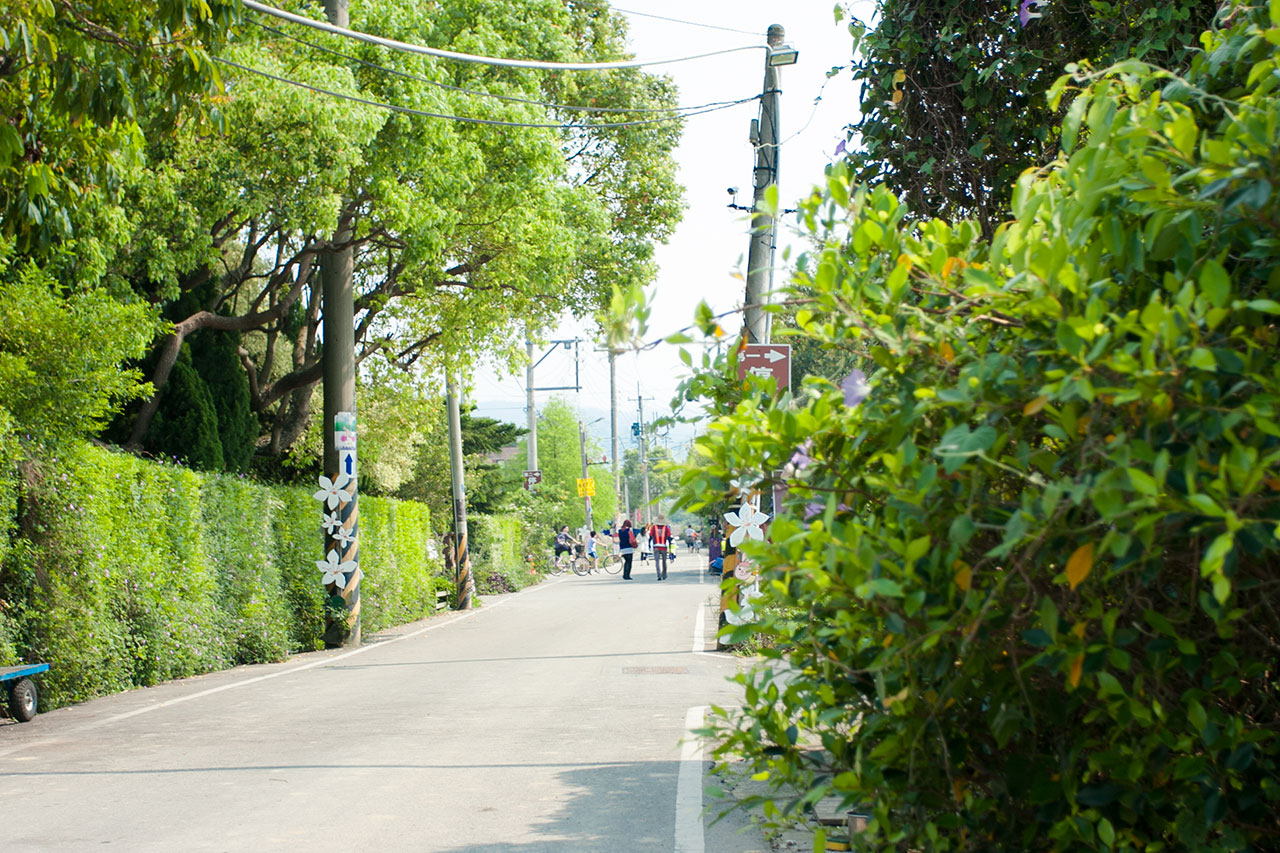 背景大圖 背景大圖
