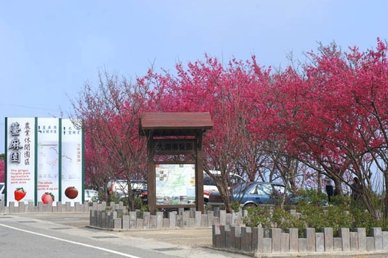 背景大圖 背景大圖