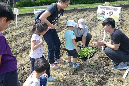 2018秋戲菸田趣 2018秋戲菸田趣
