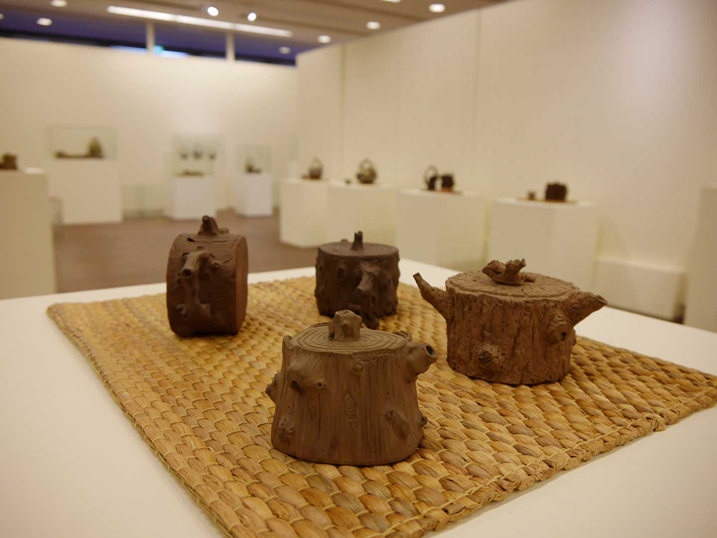 第五特展室(陶雕之聲‧木藝迴響─謝鴻達陶瓷工藝特展) 第五特展室(陶雕之聲‧木藝迴響─謝鴻達陶瓷工藝特展)